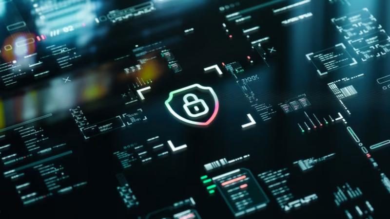 武陵区软件开发公司